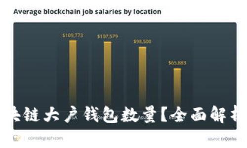 如何查看区块链大户钱包数量?全面解析与实用技巧