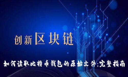 如何读取比特币钱包的原始文件:完整指南