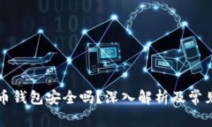实体比特币钱包安全吗？深入解析及常见问题解