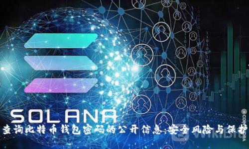 如何查询比特币钱包密码的公开信息：安全风险与保护措施