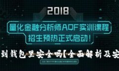 比特币下载到钱包里安全吗？全面解析及安全防