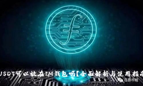 USDT可以放在IM钱包吗？全面解析与使用指南