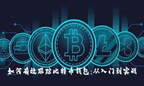 如何有效跟踪比特币钱包：从入门到实战