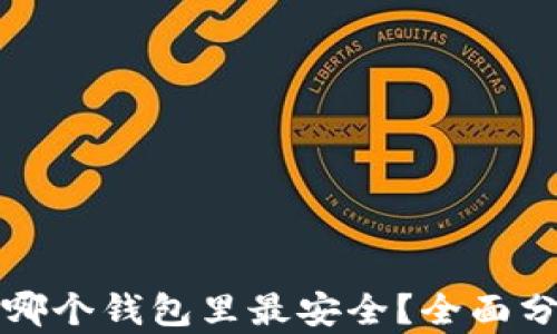 屎币存入哪个钱包里最安全?全面分析与推荐