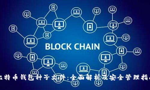 比特币钱包种子文件:全面解析及安全管理指南