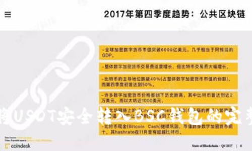 如何将USDT安全转入BSC钱包的完整指南