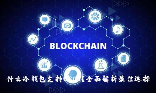 什么冷钱包支持USDT?全面解析最佳选择