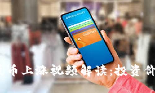 2023年钱包屎币上涨视频解读:投资价值与市场趋势