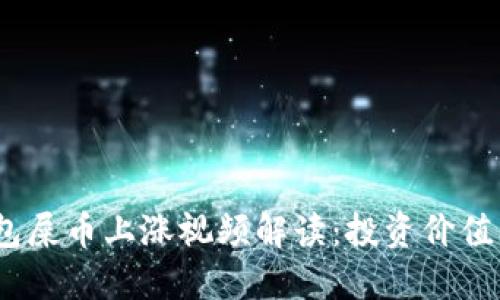 2023年钱包屎币上涨视频解读:投资价值与市场趋势