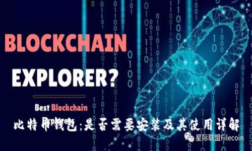 比特币钱包：是否需要安装及其使用详解