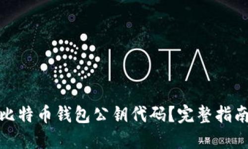 : 如何理解比特币钱包公钥代码？完整指南与实用技巧