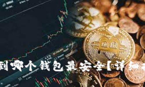 USDT提现到哪个钱包最安全？详细指南与建议