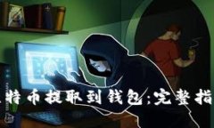 如何将比特币提取到钱包：完整指南与技巧