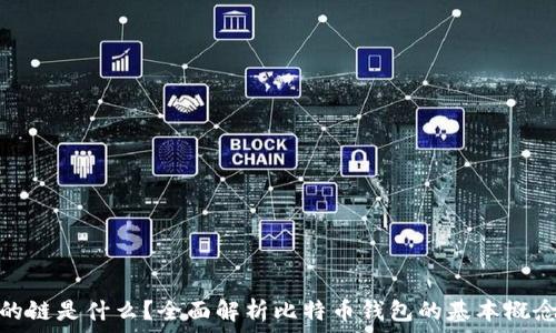   
比特币钱包的链是什么？全面解析比特币钱包的基本概念与运作机制