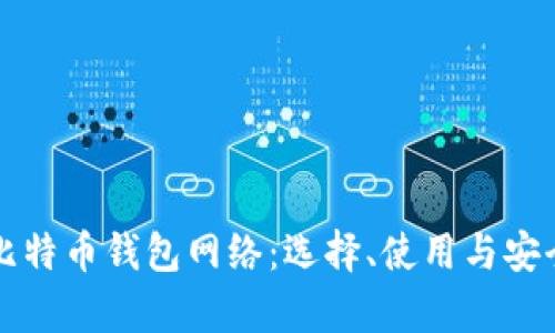 深入了解比特币钱包网络：选择、使用与安全性全解析