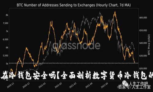 USDT放在冷钱包安全吗？全面剖析数字货币冷钱包的安全性