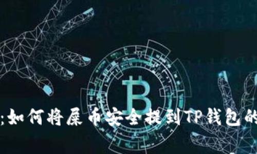 专家揭秘：如何将屎币安全提到TP钱包的独家秘诀