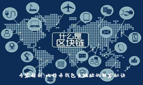 专家解析：比特币钱包主地址的独家秘诀