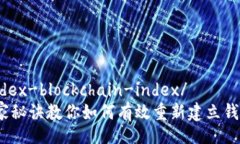wallet-reindex-blockchain-index/  专家揭秘：独家秘诀教