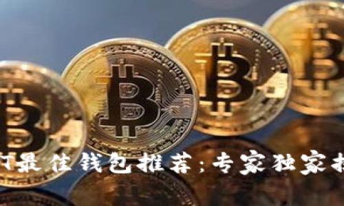 2023年USDT最佳钱包推荐：专家独家揭示安全秘笈