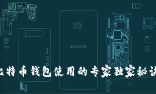 比特币钱包使用的专家独家秘诀！