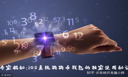 专家揭秘：iOS系统狗狗币钱包的独家使用秘诀