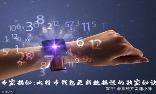 专家揭秘：比特币钱包更新数据慢的独家秘诀