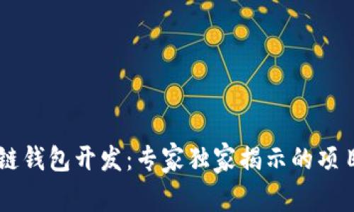 区块链钱包开发：专家独家揭示的项目秘笈