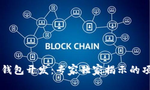 区块链钱包开发：专家独家揭示的项目秘笈
