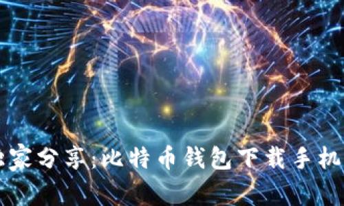 专家独家分享：比特币钱包下载手机的秘诀