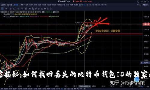 专家揭秘：如何找回丢失的比特币钱包ID的独家秘诀