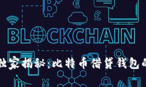 专家独家揭秘：比特币借贷钱包的秘诀