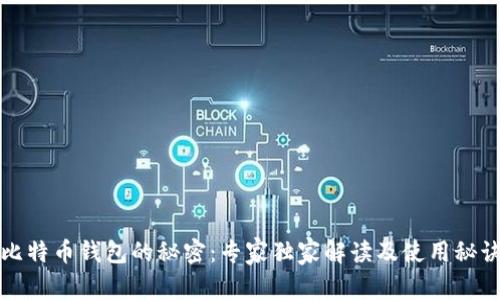 比特币钱包的秘密：专家独家解读及使用秘诀