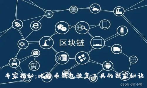 专家揭秘：比特币钱包恢复工具的独家秘诀