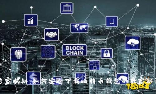 专家揭秘：如何安全下载比特币钱包的独家秘诀