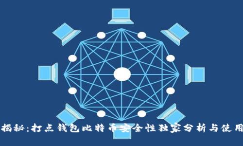 专家揭秘：打点钱包比特币安全性独家分析与使用秘诀