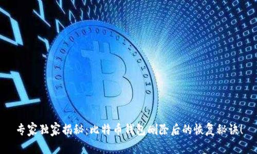 专家独家揭秘：比特币钱包删除后的恢复秘诀！