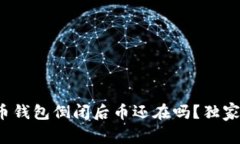 专家揭秘：虚拟货币钱包倒闭后币还在吗？独家