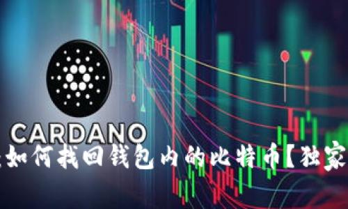 专家揭秘:如何找回钱包内的比特币?独家秘诀分享!