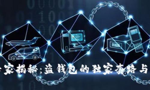 区块链专家揭秘：盗钱包的独家套路与防范秘诀