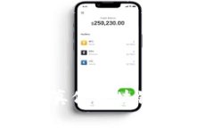 专家揭秘：识别真假区块链钱包的独家秘诀