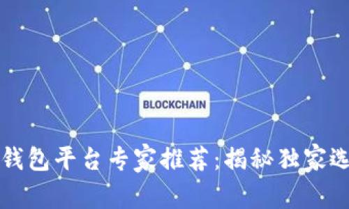 比特币钱包平台专家推荐：揭秘独家选择秘诀