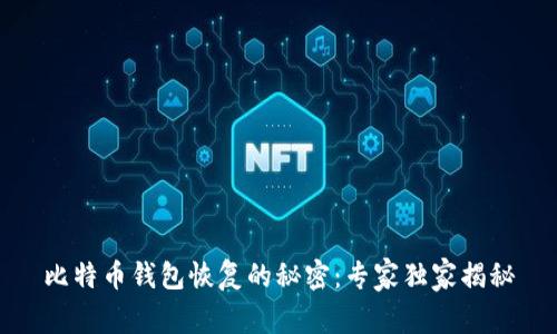 比特币钱包恢复的秘密：专家独家揭秘