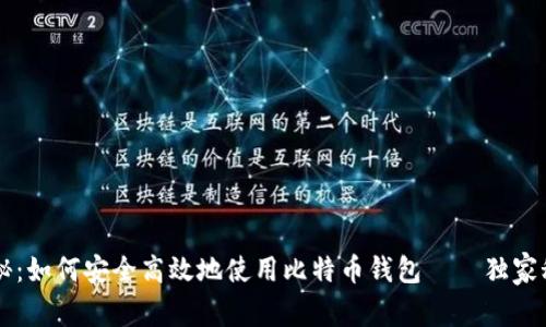 专家揭秘：如何安全高效地使用比特币钱包——独家秘籍分享