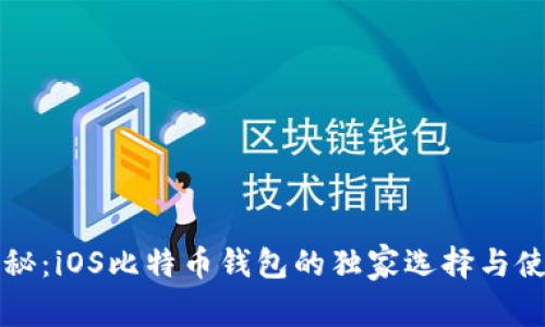 专家揭秘：iOS比特币钱包的独家选择与使用秘诀