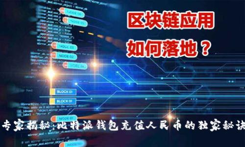 专家揭秘：比特派钱包充值人民币的独家秘诀