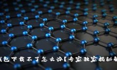 以太坊钱包下载不了怎么办？专家独家揭秘解决