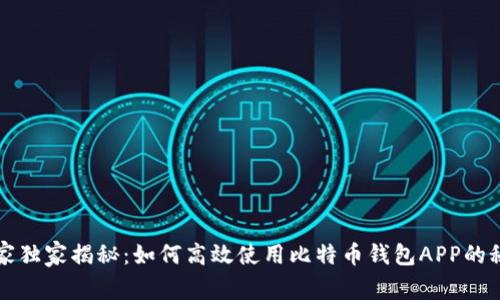 专家独家揭秘：如何高效使用比特币钱包APP的秘诀