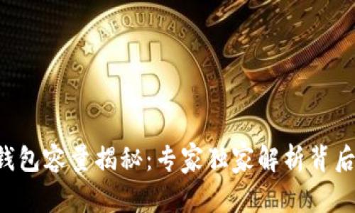 比特币钱包容量揭秘：专家独家解析背后的秘密！