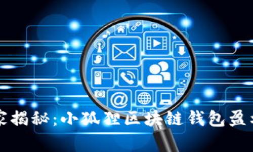 专家独家揭秘：小狐狸区块链钱包盈利的秘诀